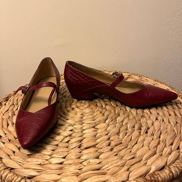 Pointed Toe Mary Jane’s, 8.5 (39) - Picture 4 of 4